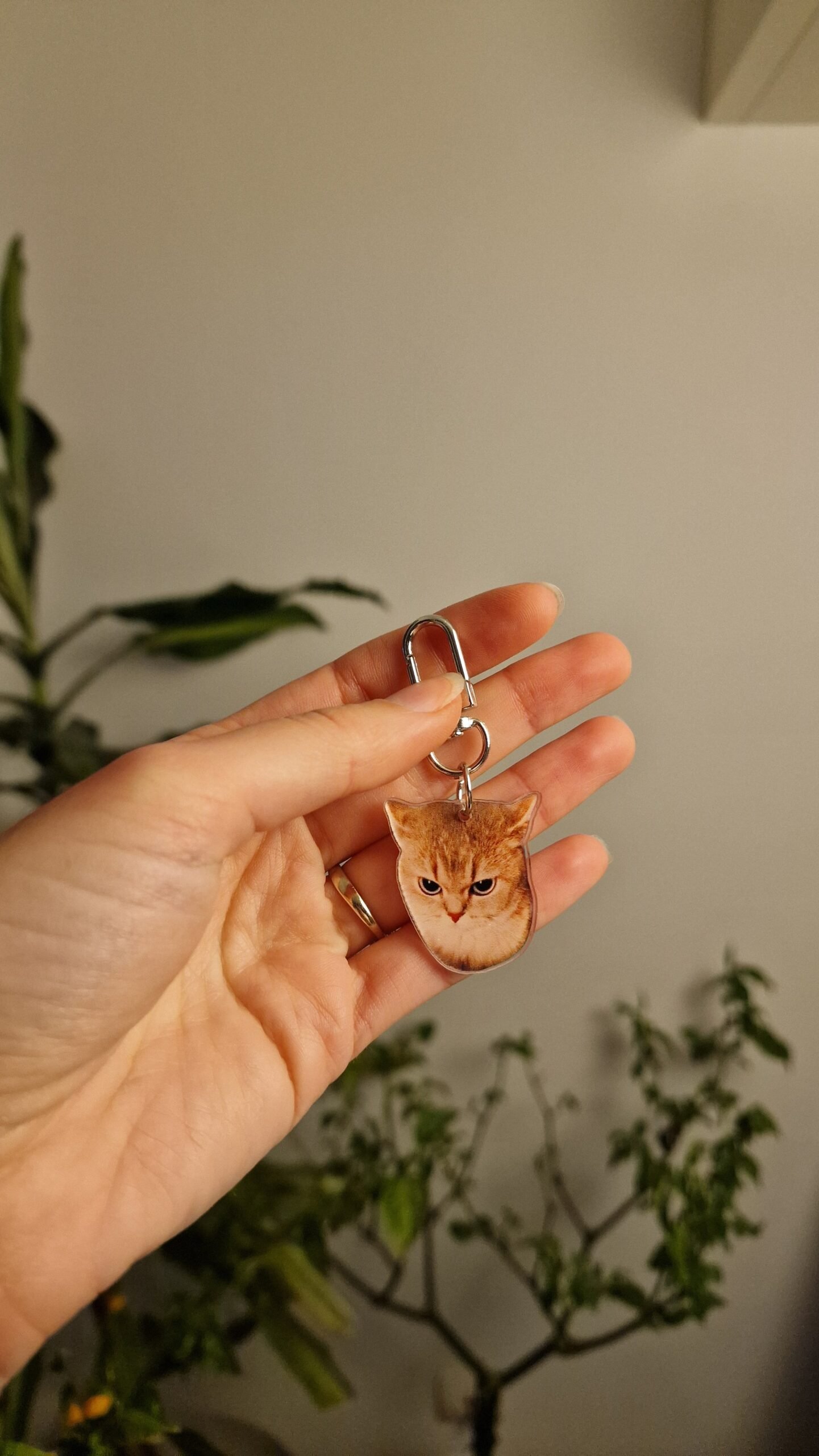 Judging Cat Keychain