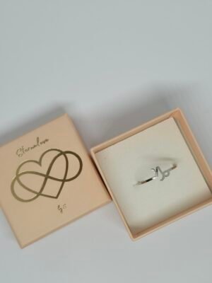 Capricorn Zodiac Ring – Adjustable Stainless Steel