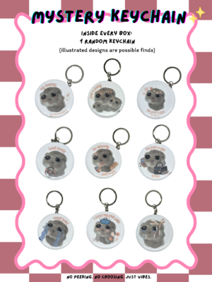 mystery keychain ✨